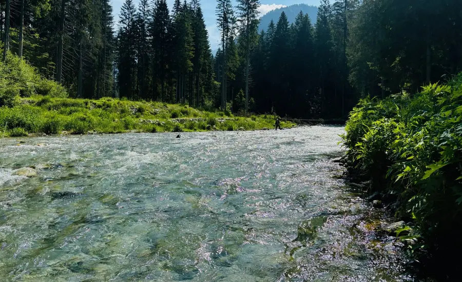 Responsible Fly Fishing Practices | Conservation Tips for Sustainable Angling