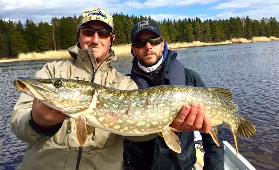Pike