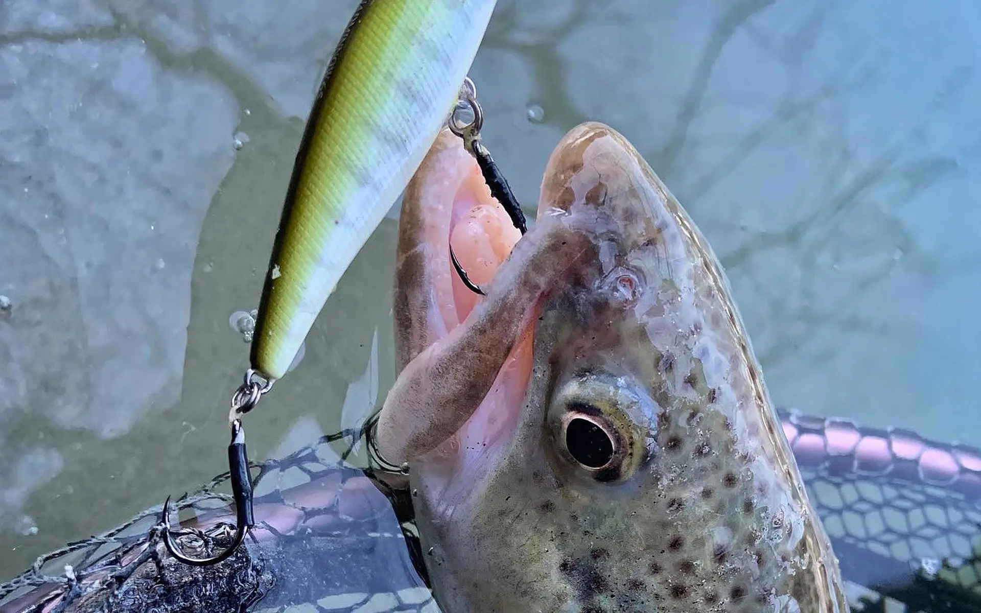 Responsible Fly Fishing Practices | Conservation Tips for Sustainable Angling Responsible Fly Fishing Practices | Conservation Tips for Sustainable Angling