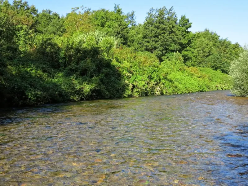 Cavaliere river