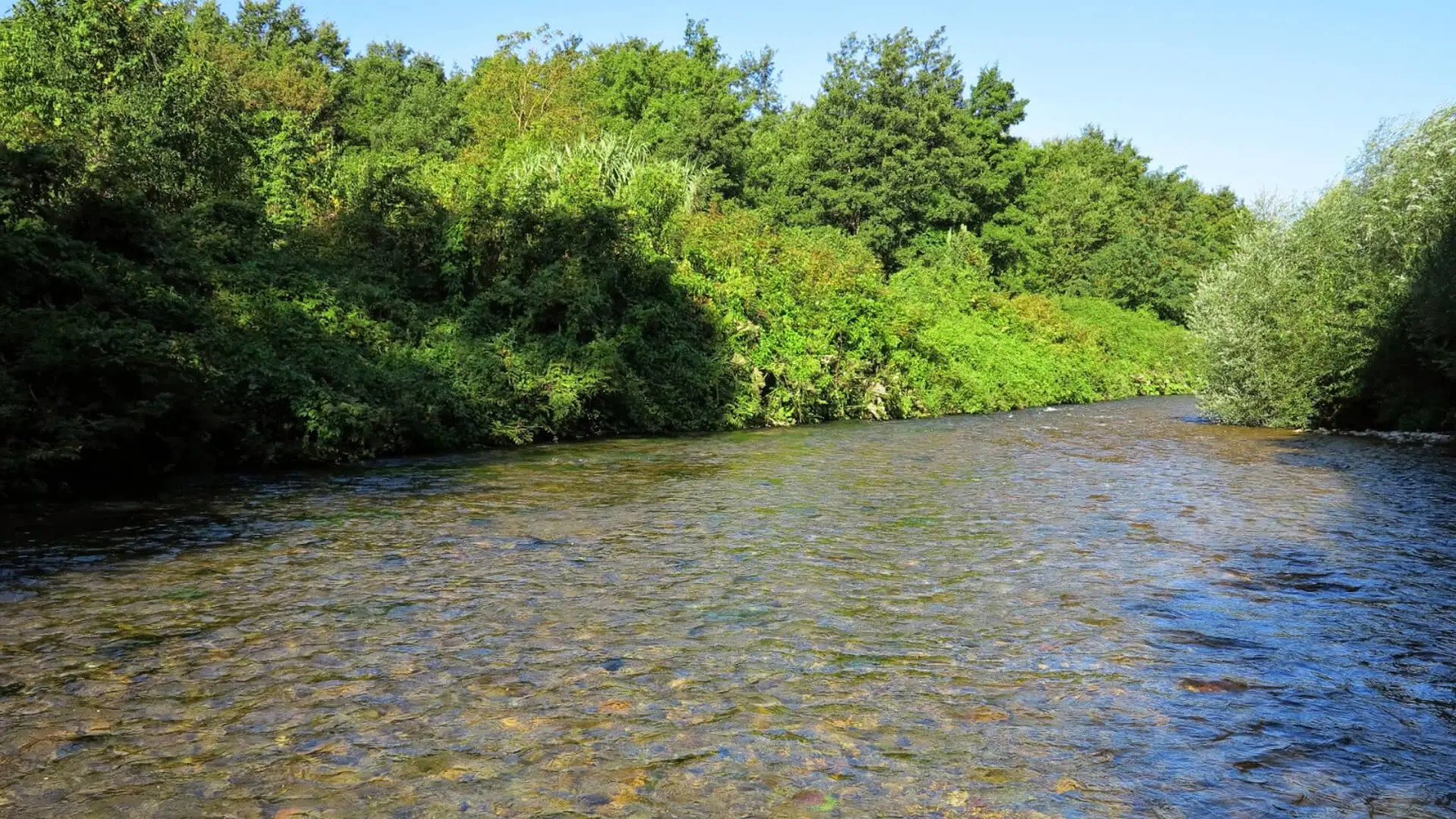 Cavaliere river