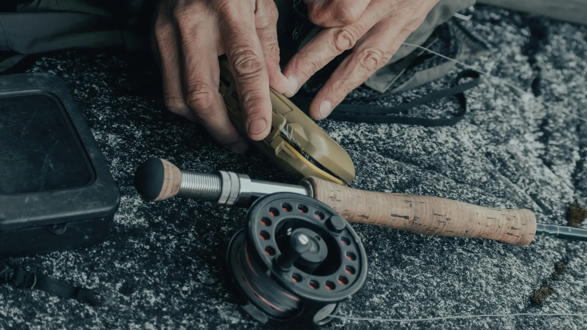 Fishing tips posts category image cover