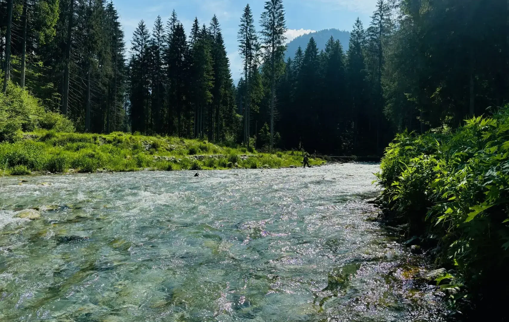 Responsible Fly Fishing Practices | Conservation Tips for Sustainable Angling