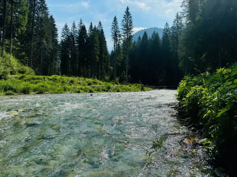 Responsible Fly Fishing Practices | Conservation Tips for Sustainable Angling