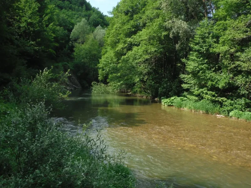Sangro River