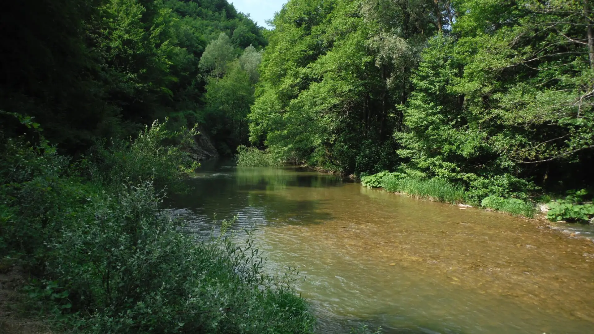 Sangro River