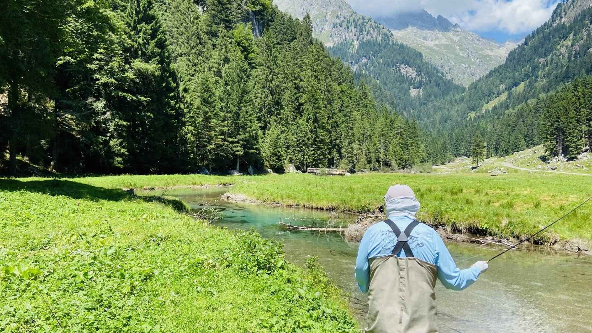 Immagine in primo piano allegata alla pagina